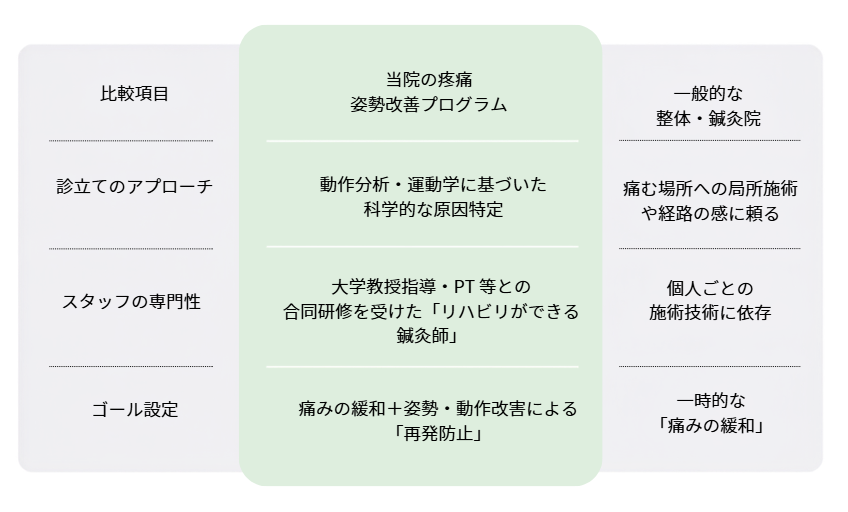 疼痛・姿勢改善プログラム比較表