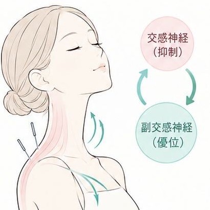 自律神経緊張緩和のイラスト