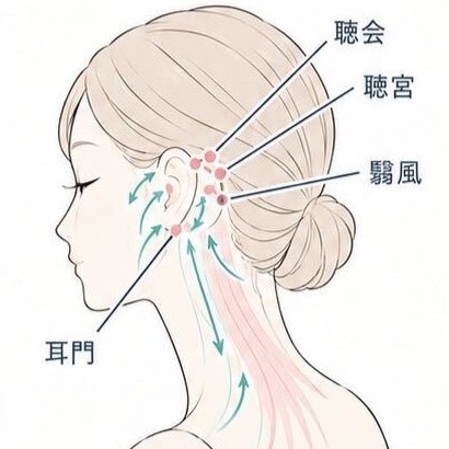 耳周囲のツボのイラスト